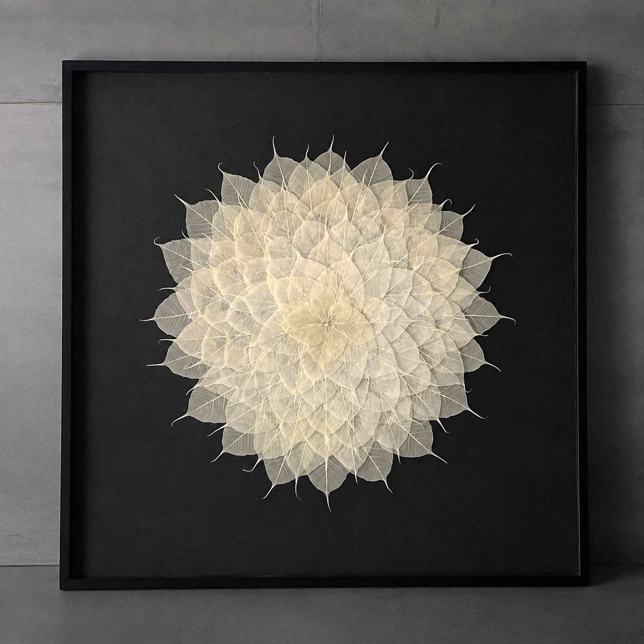 Mandala artesanal de hojas blancas sobre fondo negro enmarcado